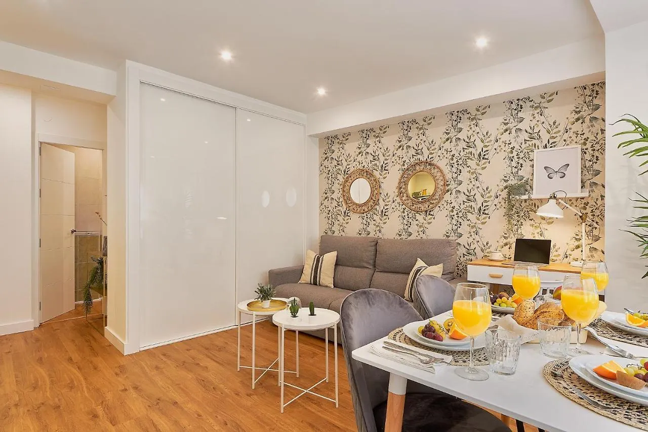 Apartment Oasis City Center Malaga Spain